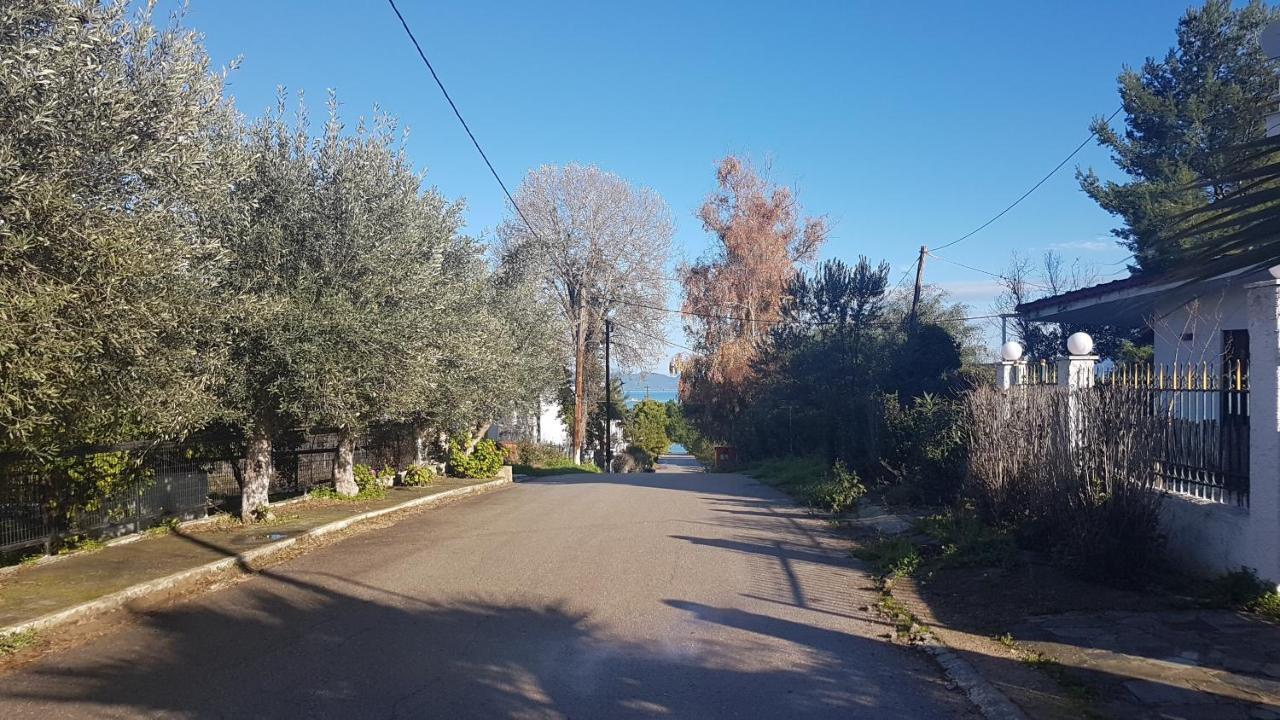 Studio Kalypso Arkitsa Exterior photo