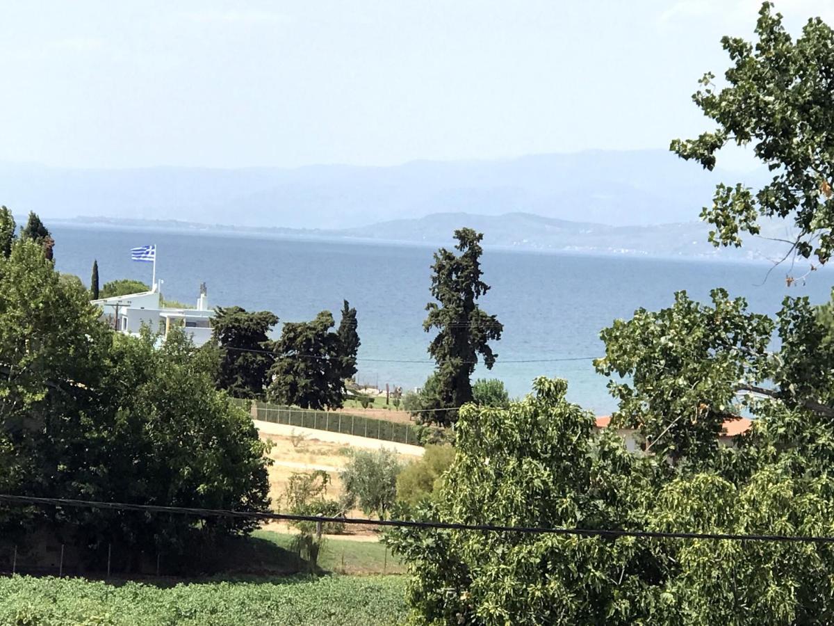 Studio Kalypso Arkitsa Exterior photo