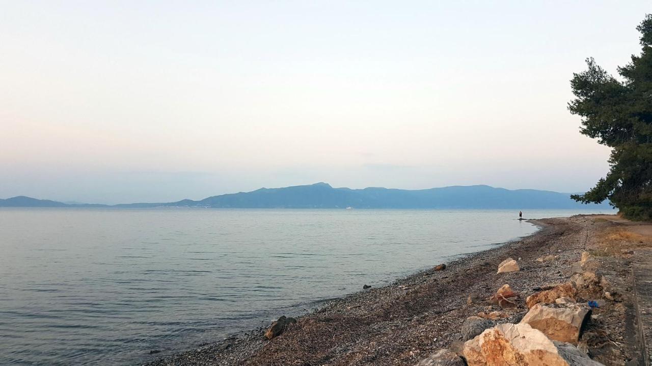 Studio Kalypso Arkitsa Exterior photo