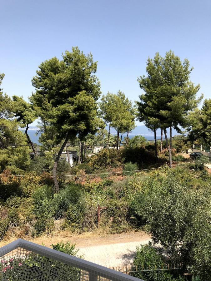 Studio Kalypso Arkitsa Exterior photo